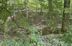 6030 Cherokee Indian Circle, Tallassee, TN 37878