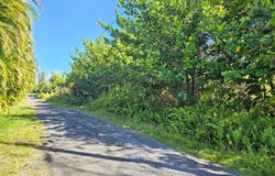 KUKANE RD, Keaau, HI 96749