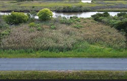 MATTHEWS RD lot: 114, SAXIS, VA 23427