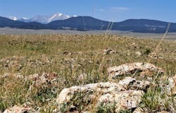 6630 Atoka Road, Hartsel, CO 80449
