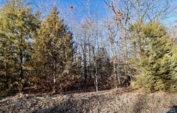 000 Cotrel Lane, Falcon, MO 65470