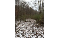 Rye Branch (DB 225, DP 424-433), Gunlock, KY 41632