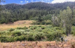3230 Bear Creek Road, Bayfield, CO 81122