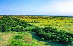 Tbd CR 141, Rule, TX 79547