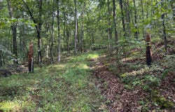 Off Tulls Hill Road, Manns Choice, PA 15550