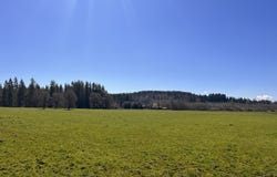 212th Ave, BattleGround, WA 98604