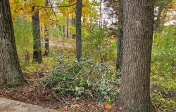 Vl N Shore Drive, Delton, MI 49046