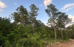 30 Mountain Loop Drive, Tuskahoma, OK 74574