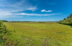 Parcel B Adams Drive, DeFuniak Springs, FL 32433