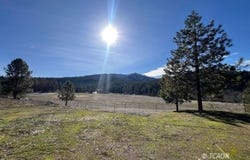 2985 Hyampom Rd, Hayfork, CA 96041