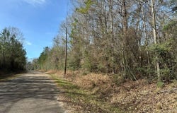 0 Pump Branch Road, Wiggins, MS 39577