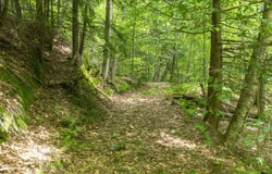 TBD Taylor Road, Duxbury, VT 05660