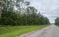 V/L Wheeler Road, Johannesburg, MI 49751