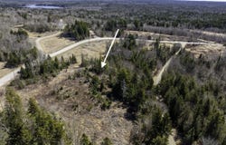 Lot 19-13D Halls Mills Road, Whiting, ME 04691