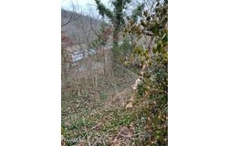 Indian River Boat Dock Rd, Jacksboro, TN 37757
