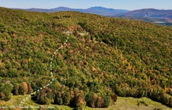 393 B G Partridge Rd, Windham, NY 12496