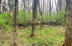 Sisson Hill Rd, Unadilla, NY 13849