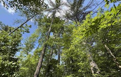 106 Dutchmans Pipe Trail, Sunset, SC 29685