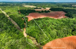 0 Ollie Pouncy Road, Chancellor, AL 36316