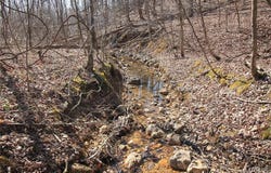 0 Madison CR 411 (120a), Fredericktown, MO 63645