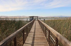 3372 Gum Tree Road, Suisun City, CA 94585