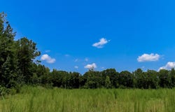 231 Ault Road, Hopkins, SC 29061