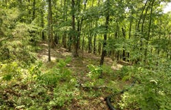 310 Peaceful peak ln, Melbourne, AR 72556