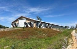 40 Shaw Cemetery Rd, Sidney, AR 72577