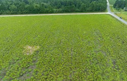 TBD LOT 2 Tansy Rd., Loris, SC 29569