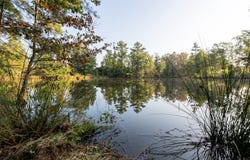 02 Clay, Attapulgus, GA 39819