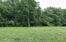 Lot 10 Eagle View Dr, Muscle Shoals, AL 35661