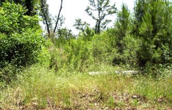 1131 LR 35, Ashdown, AR 71822