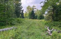 Tbd Hwy 200, Hill Lake Twp, MN 55748