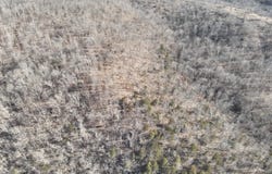 0000, Dixon, MO 65459