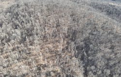 0000, Dixon, MO 65459