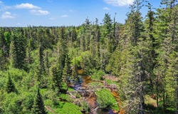 8100 Nature Ridge Trail, Vanderbilt, MI 49795