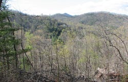 Lot 18 Wynngate, Dillard, GA 30537