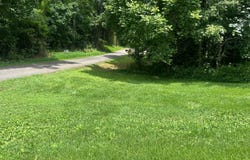 336 Redfin Rd, Scottsville, KY 42164