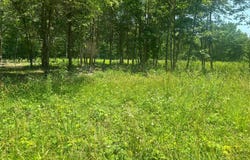 Lot 1 KENTUCKY SPRINGS RD, BUMPASS, VA 23024