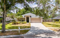 412 HENDERSON AVENUE, SEFFNER, FL 33584