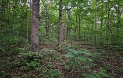 2 Rita Road, Blackwell, MO 63626