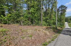 Sutherland Drive, Helenwood, TN 37755