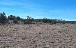 Tbd Windsor Valley Ranch, Concho, AZ 85924