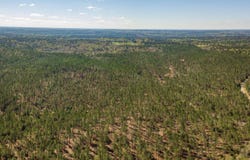 Timothy Rd lot: 7, Ellisville, MS 39437