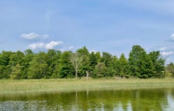 803 GUENTHER RIDGE, GAYLORD, MI 49735