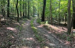 527 BALTIMORE Pike, MOUNT HOLLY SPRINGS, PA 17065