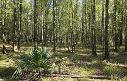 000 Dogtown Lane, Hazlehurst, MS 39083