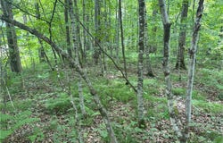 0 28 7/16-28 9/16 Street, Birchwood, WI 54817