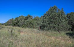 8 Reload, Tijeras, NM 87059
