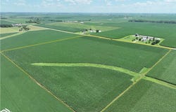295th, Manchester, IA 52057